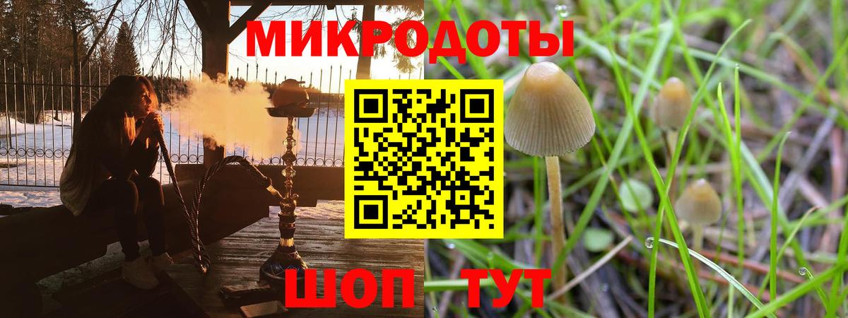 Галлюциногенные грибы прущие грибы Кириши