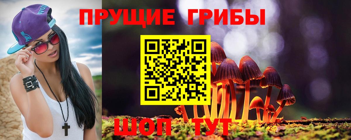 ТГК Кириши